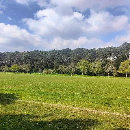 Peaceful Getaway In Forested Park-3